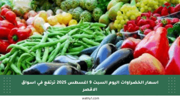 أسعار الخضراوات اليوم السبت 9 أغسطس 2025 ترتفع في أسواق الأقصر